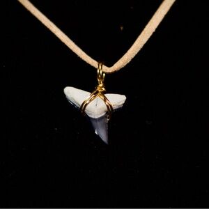 Gold Shark Tooth Pendant Necklace on Leather Strap